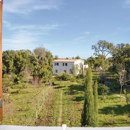 Apartamento Amazing In *